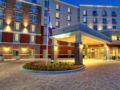 Hilton Garden Inn Mount Pleasant ホテル詳細