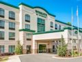 Wingate by Wyndham State Arena Raleigh/Cary ホテル詳細